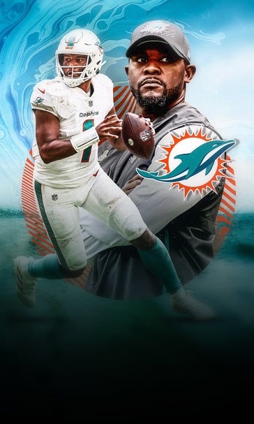Dolphins Dilemma